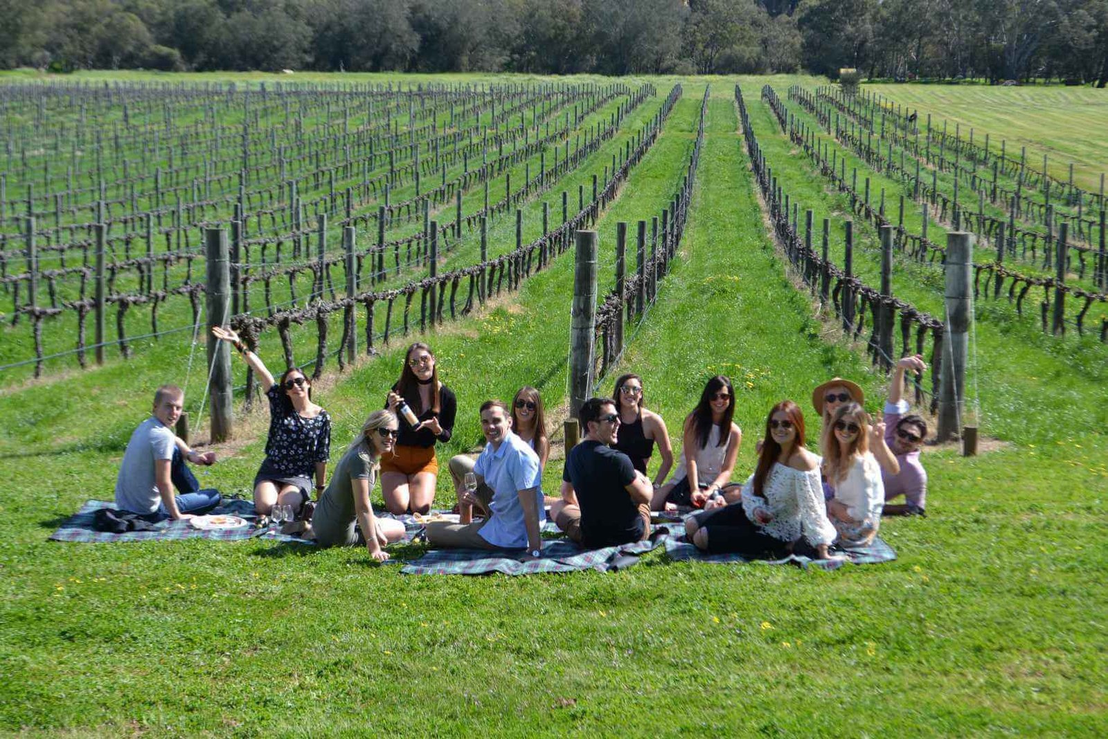 A group of people enjoying a picnic on a sunny day during a wine tour, sitting on blankets in a vineyard.